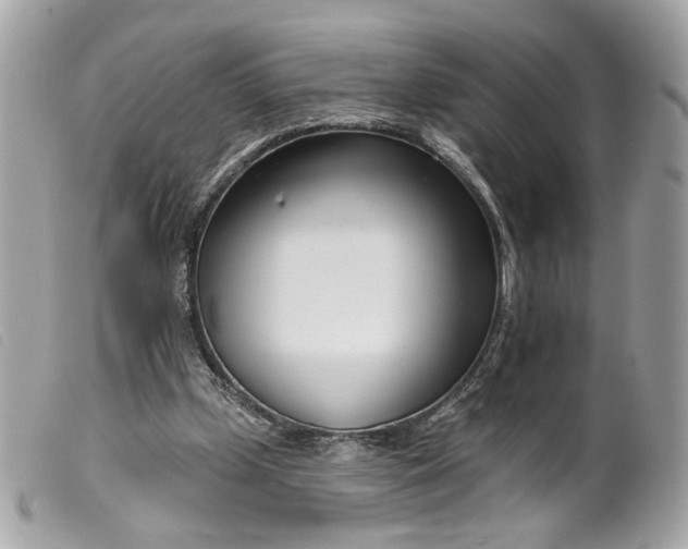 X0000099540249200805301506