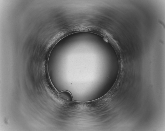 X0000099540250200805301506