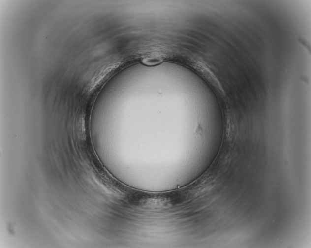 X0000099540251200805301506