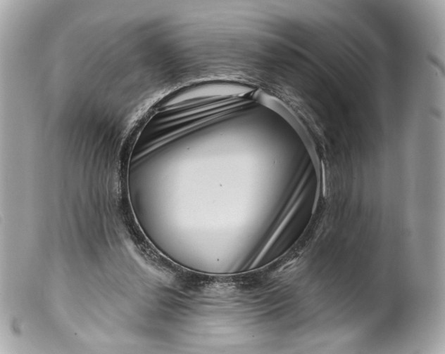 X0000099540252200805301506