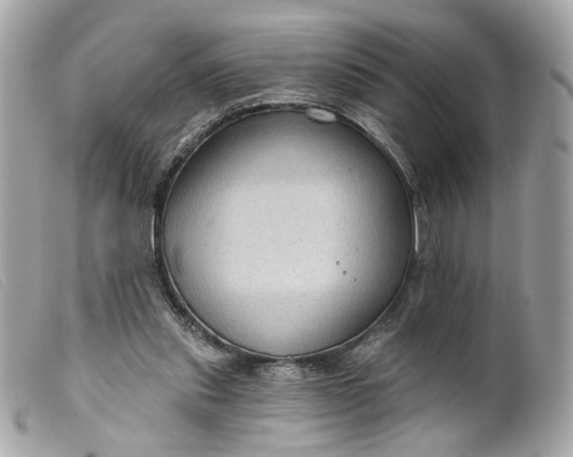 X0000099540253200805301506