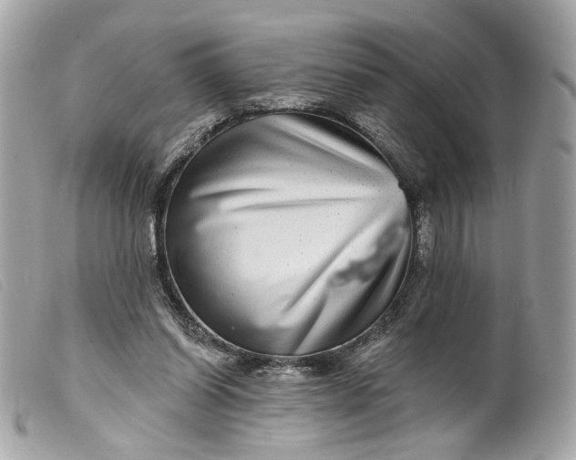 X0000099540254200805301506