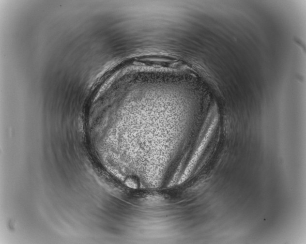 X0000099540256200805301506