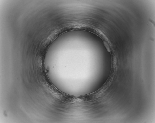 X0000099540257200805301506