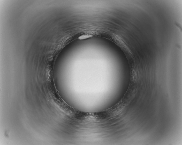 X0000099540259200805301506