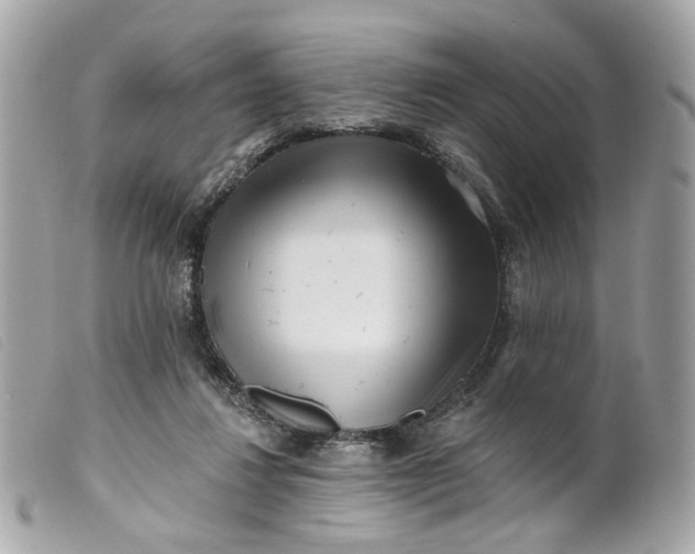 X0000099540260200805301506