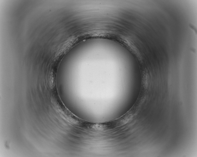 X0000099540261200805301506