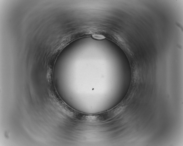 X0000099540265200805301506