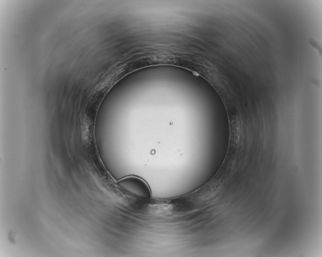 X0000099540266200805301506