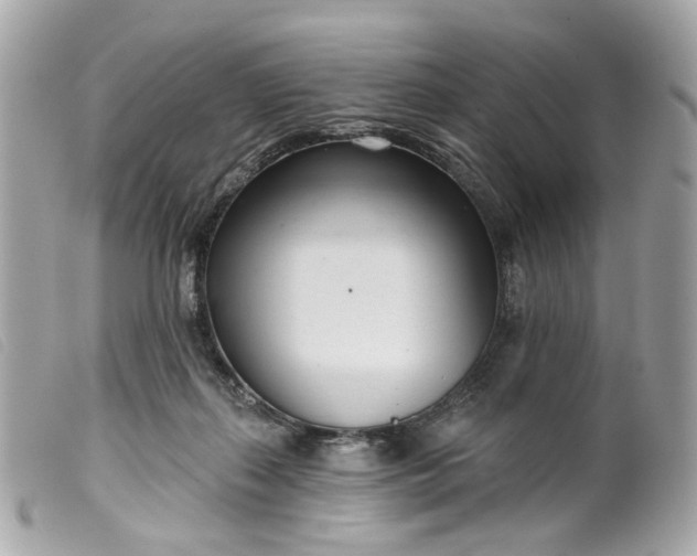 X0000099540267200805301507