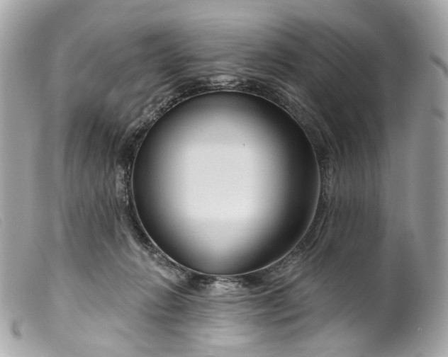 X0000099540270200805301507