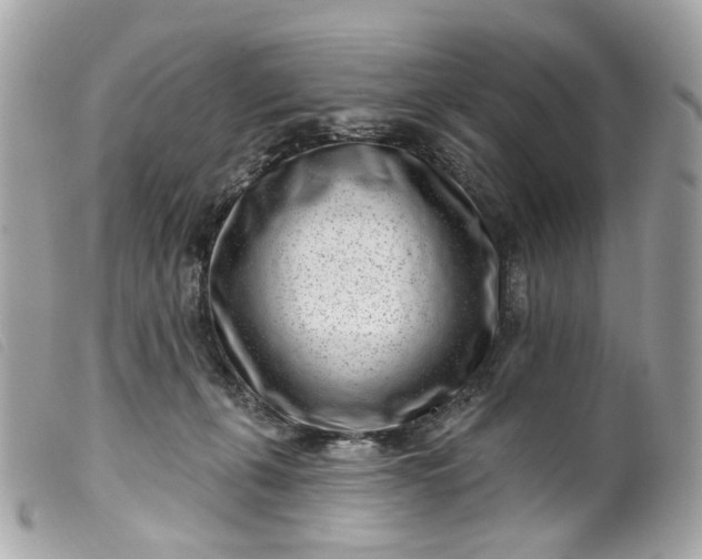 X0000099540271200805301507