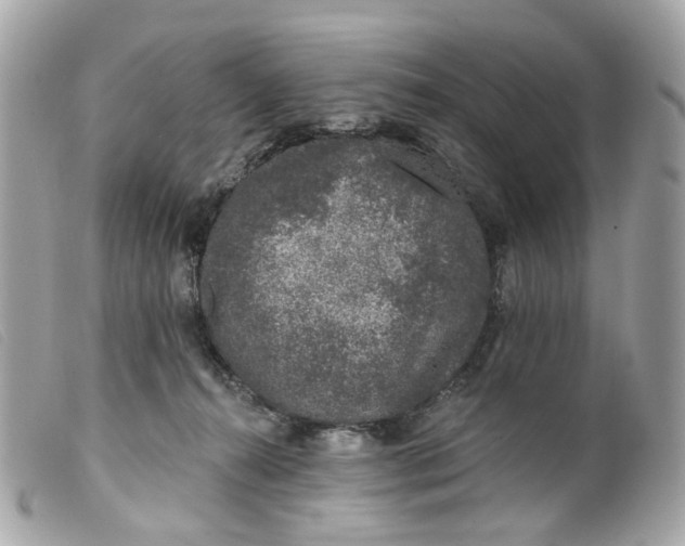 X0000099540272200805301507