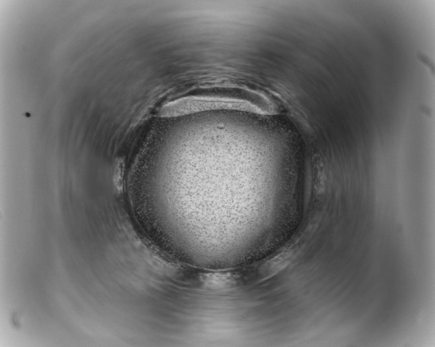 X0000099540273200805301507