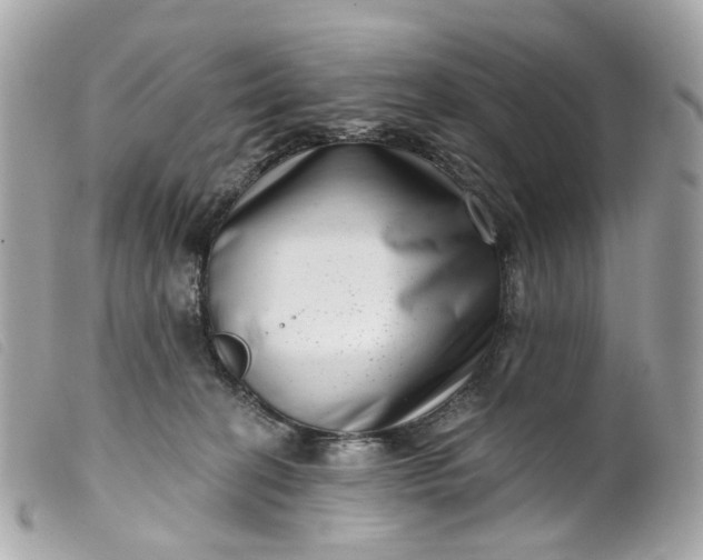 X0000099540274200805301507