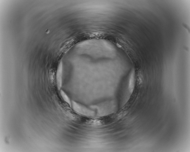 X0000099540276200805301507