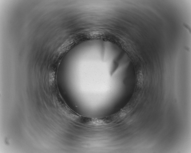 X0000099540278200805301507