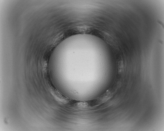 X0000099540279200805301507