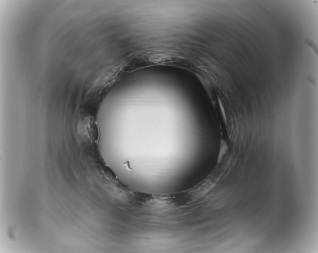 X0000099540280200805301507