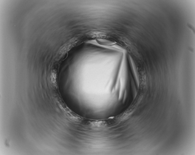 X0000099540281200805301507