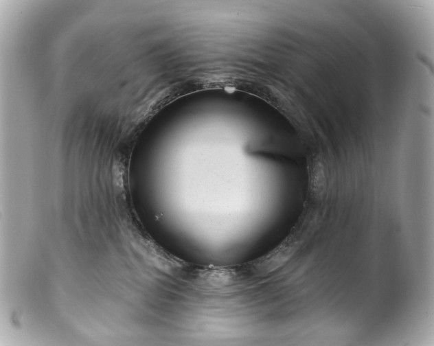 X0000099540282200805301507