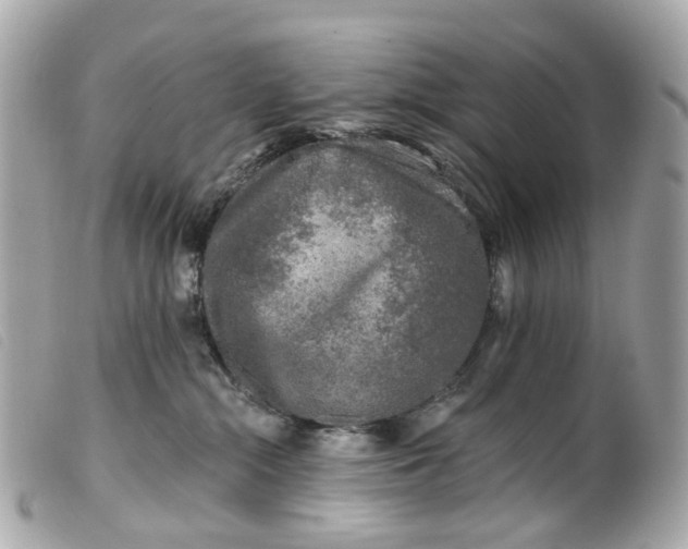 X0000099540284200805301507