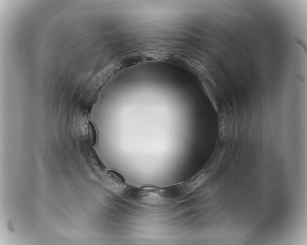 X0000099540285200805301507