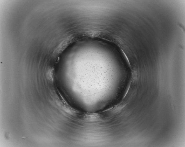 X0000099540286200805301507