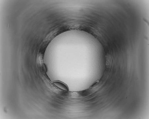 X0000099540287200805301507