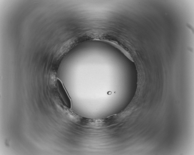 X0000099540288200805301507