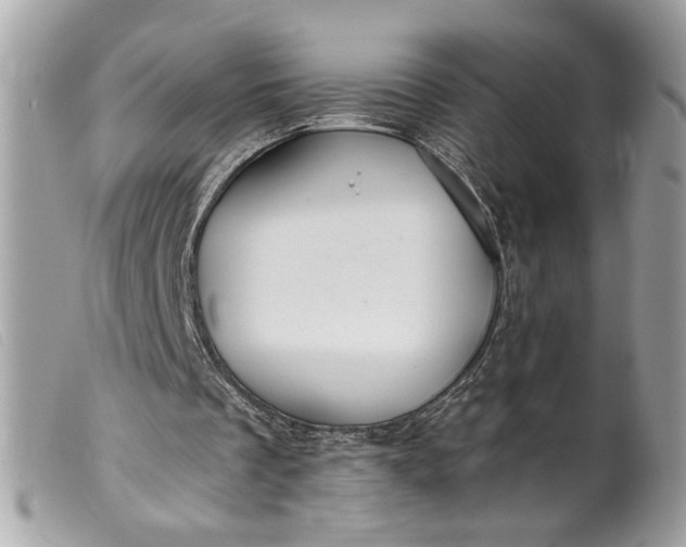 X0000099540289200805301506