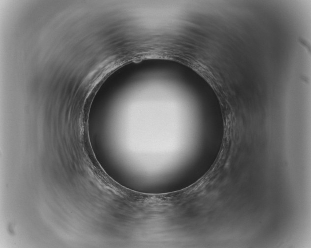 X0000099540290200805301506