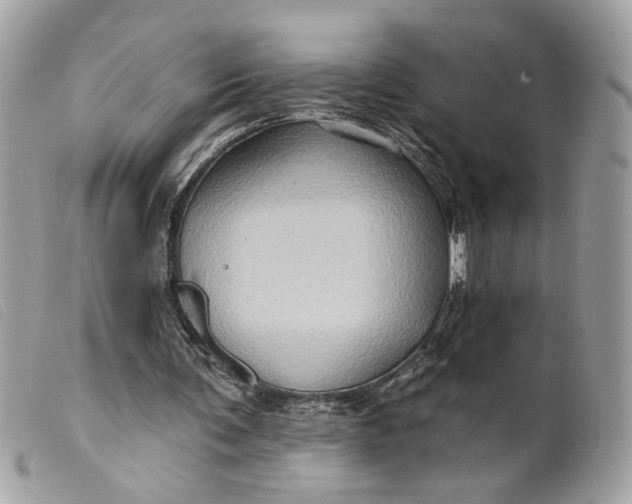 X0000099540291200805301506