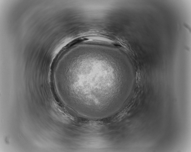 X0000099540292200805301506