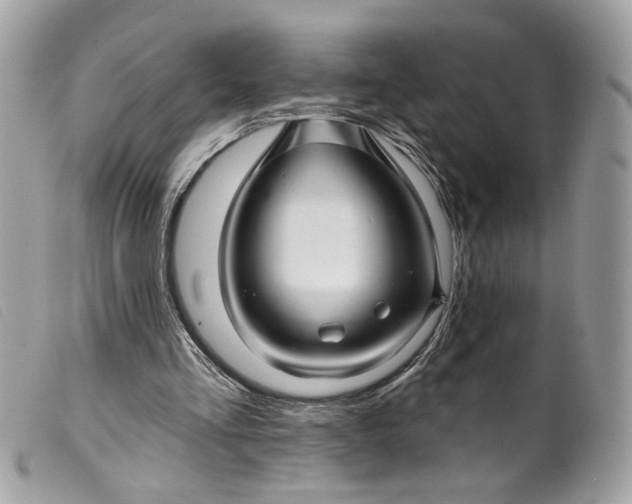 X0000099540293200805301506