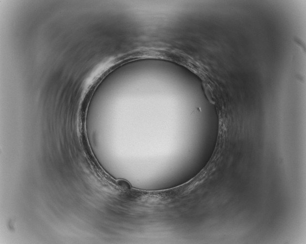 X0000099540294200805301506