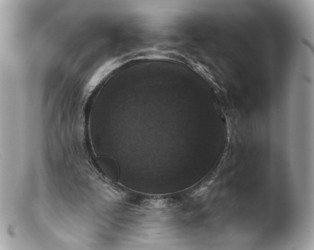 X0000099540295200805301506