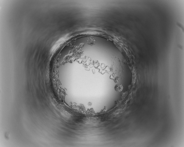 X0000099540296200805301506