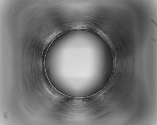 X0000099540298200805301506