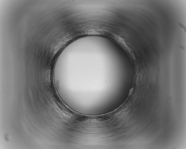 X0000099540299200805301506