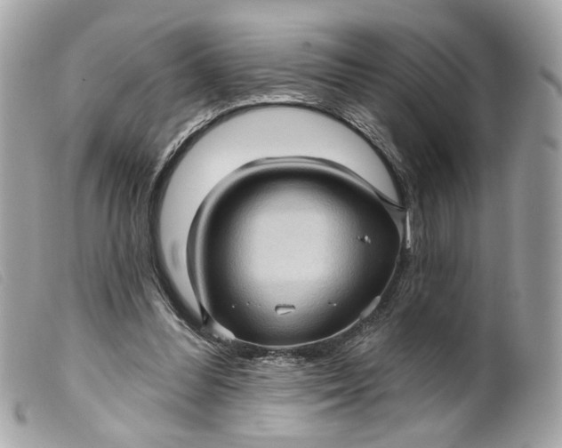 X0000099540300200805301506