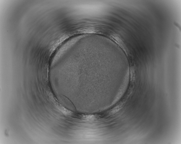 X0000099540301200805301506