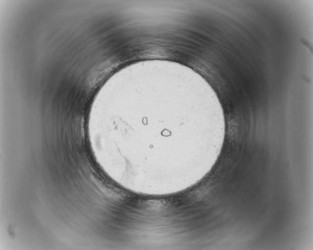 X0000099540302200805301506