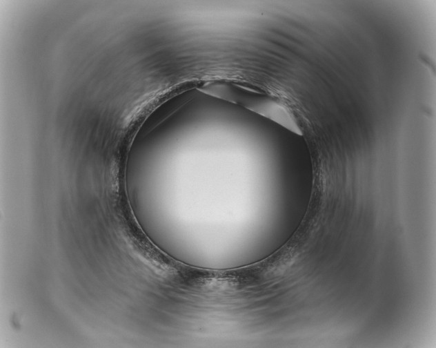 X0000099540303200805301506