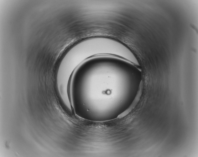 X0000099540304200805301506