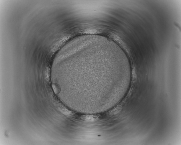 X0000099540305200805301506