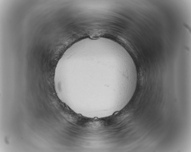 X0000099540307200805301506