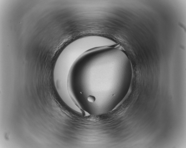 X0000099540308200805301506