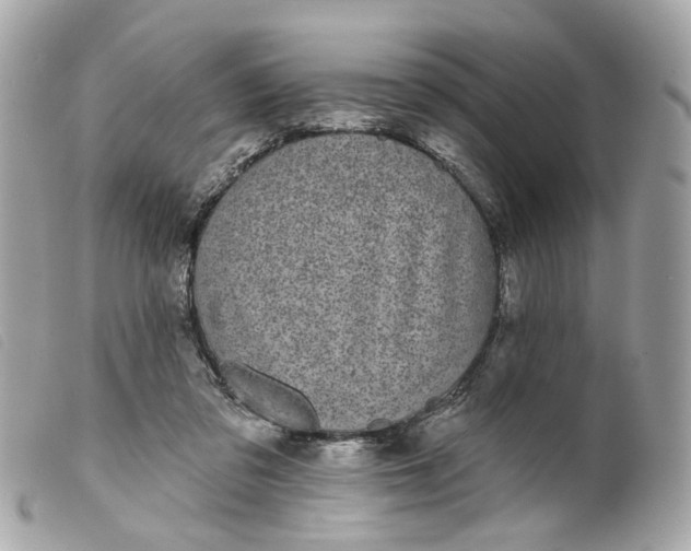 X0000099540309200805301506