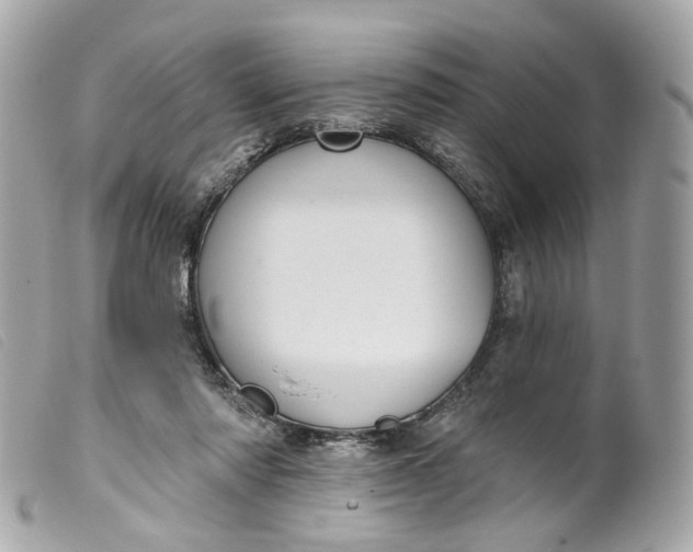 X0000099540310200805301506